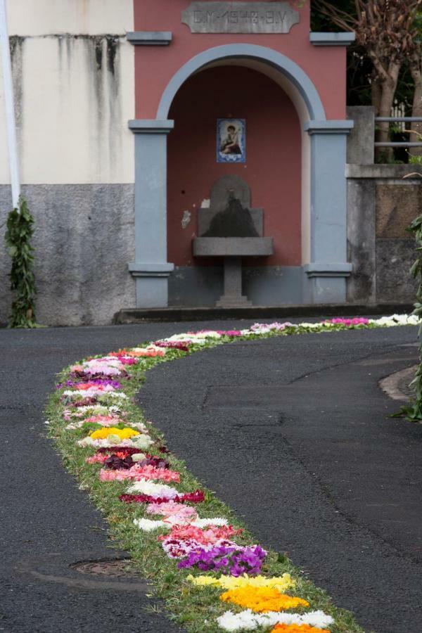 Antonella Home Funchal 외부 사진